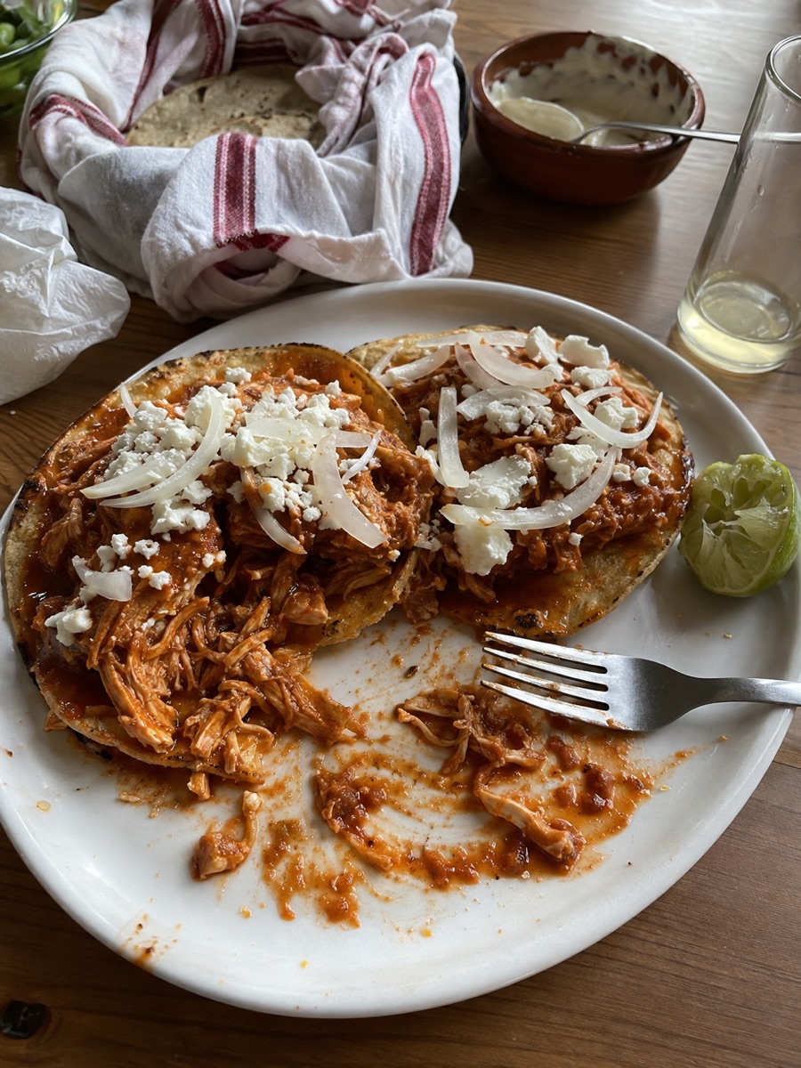 Tinga de pollo, a traditional dish from Mexico